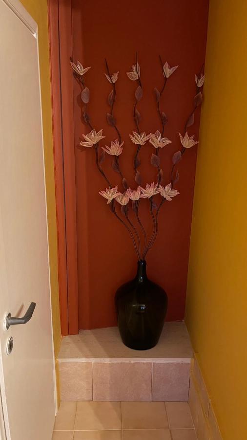 Casa Di Spili - Corfu Old Town Apartment Екстер'єр фото